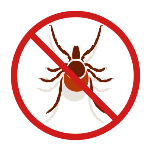 Вакцинация против клещевого энцефалита и помощь при укусах клещей