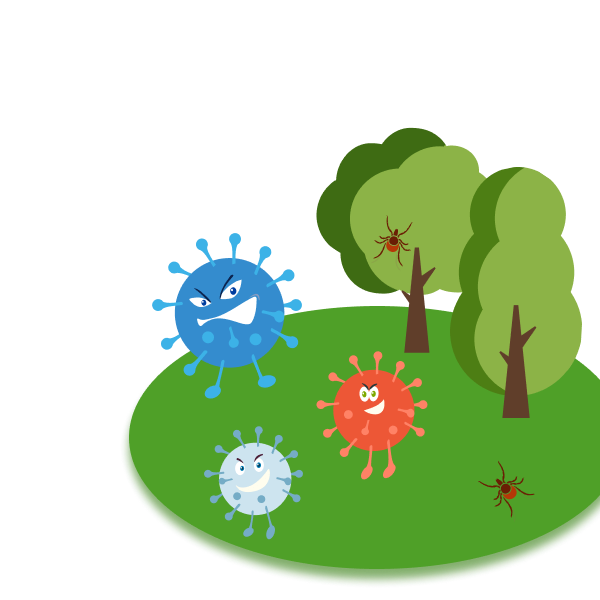 Хорошее лето — здоровое лето: вакцинация перед летним сезоном